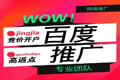 某企业利用竞价SEM提升网站流量及转化率的经验分享